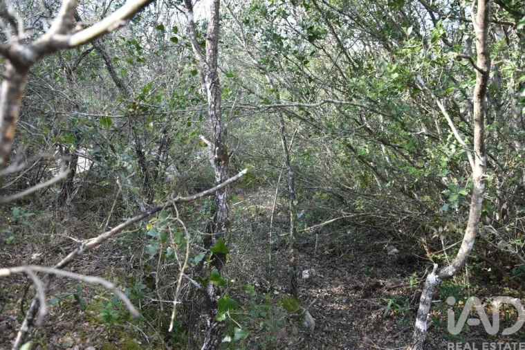 Terreno para Venda em Chãos Foto 22