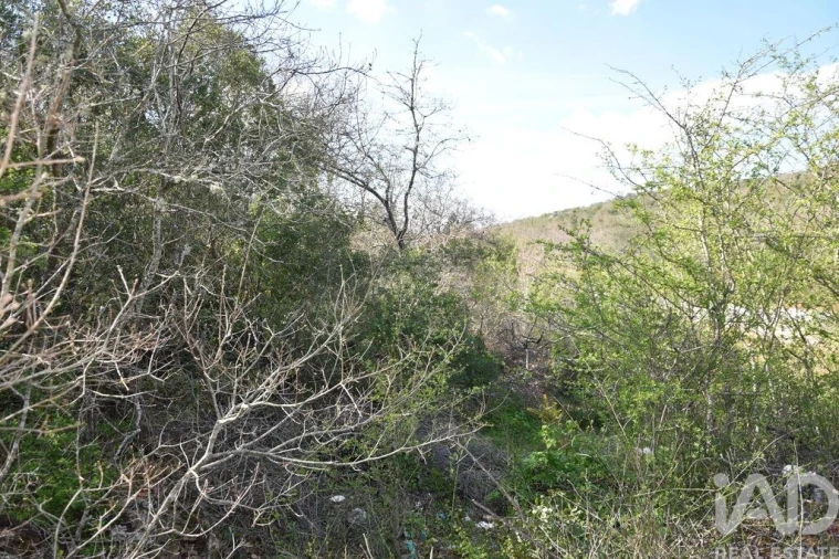 Terreno para Venda em Chãos Foto 8