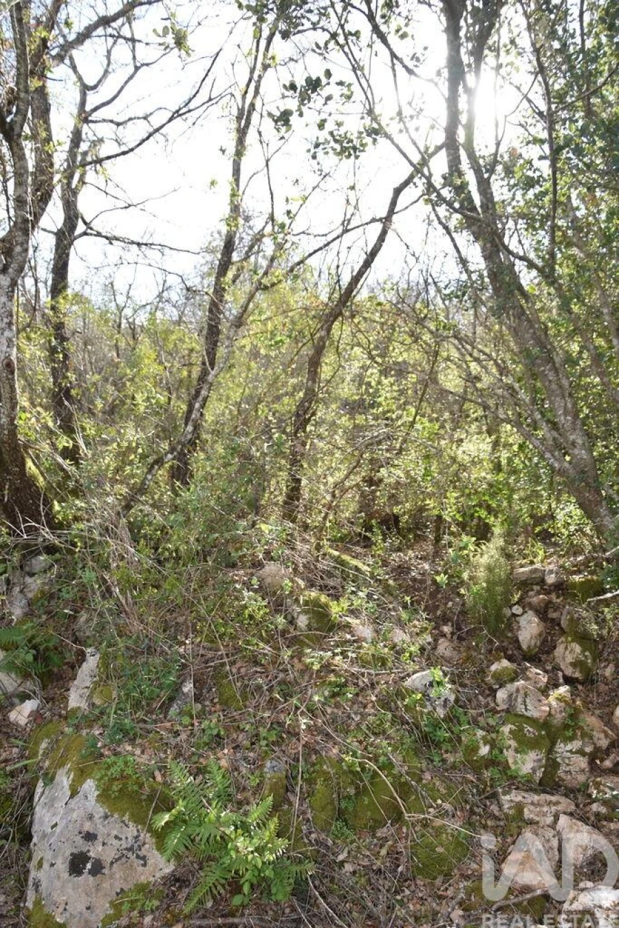 Terreno para Venda em Chãos Foto 15