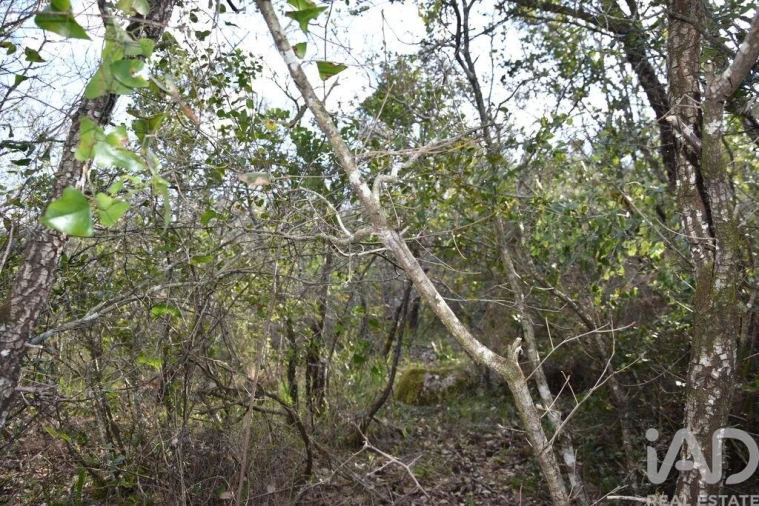 Terreno para Venda em Chãos Foto 23