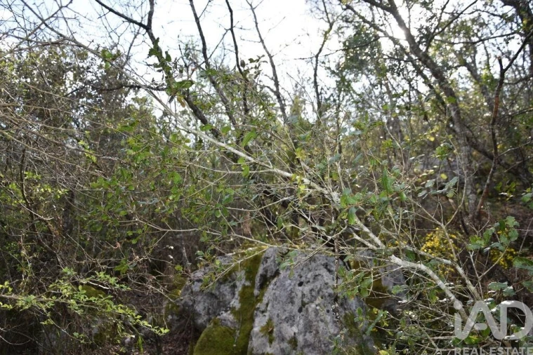 Terreno para Venda em Chãos Foto 13