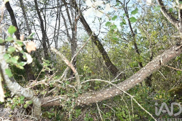 Terreno para Venda em Chãos Foto 18
