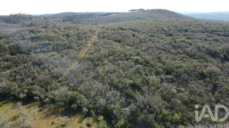 Terreno para Venda em Chãos Foto 3
