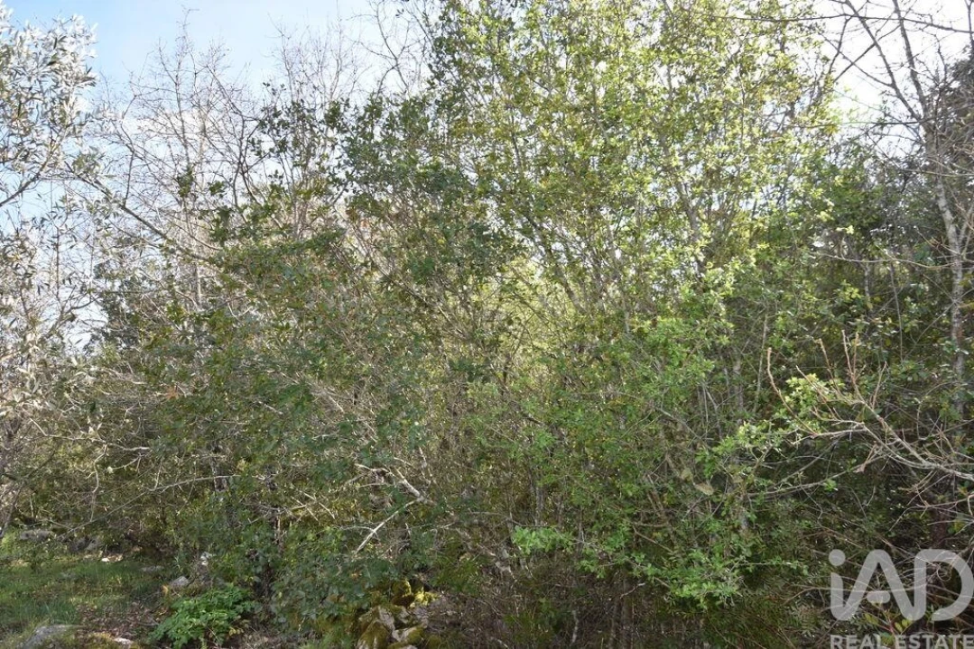 Terreno para Venda em Chãos Foto 9