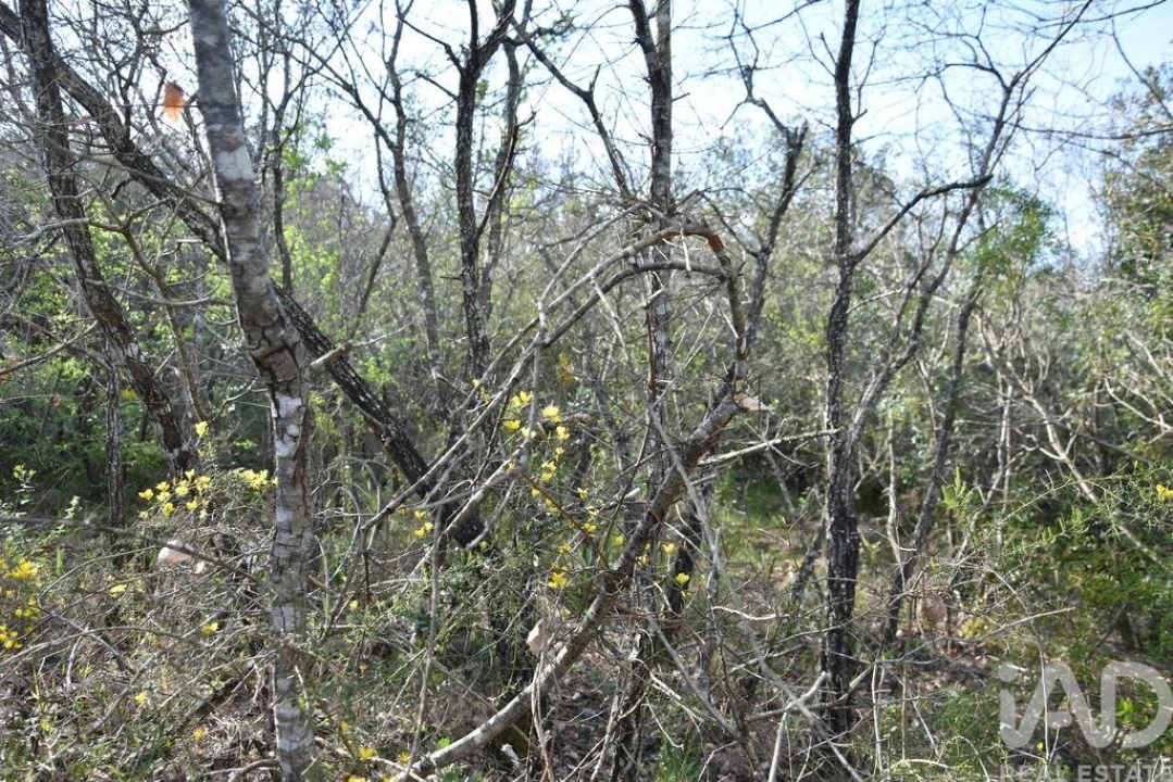 Terreno para Venda em Chãos Foto 21
