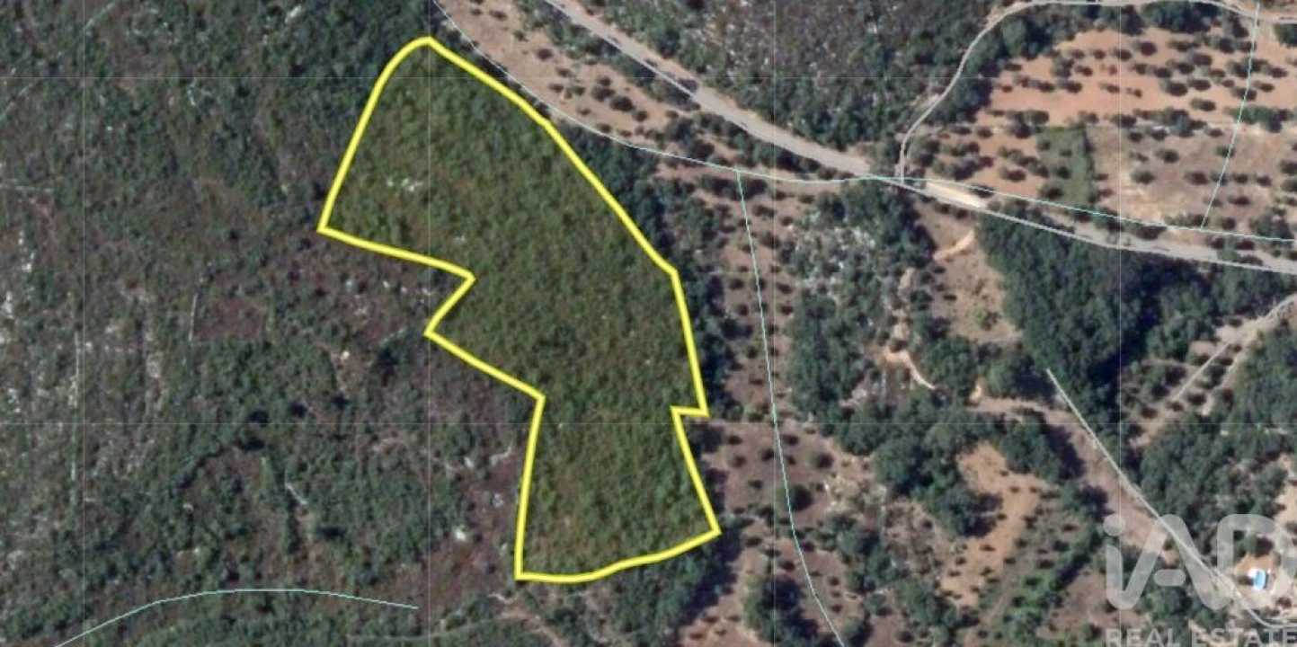 Terreno para Venda em Chãos Foto 27