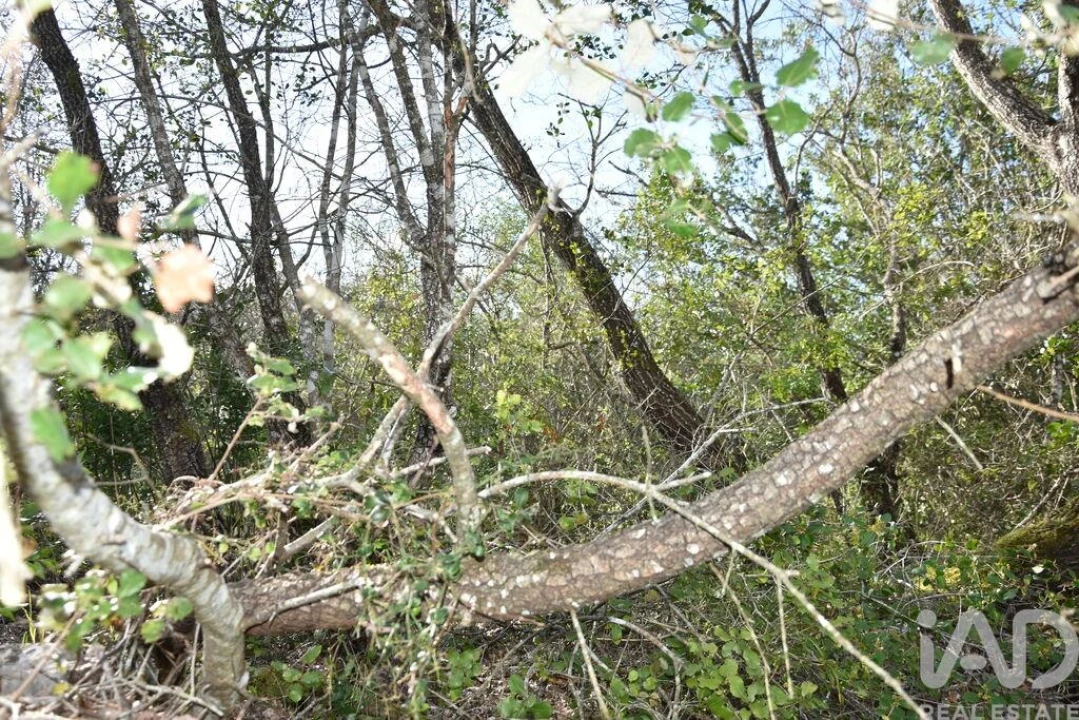 Terreno para Venda em Chãos Foto 18