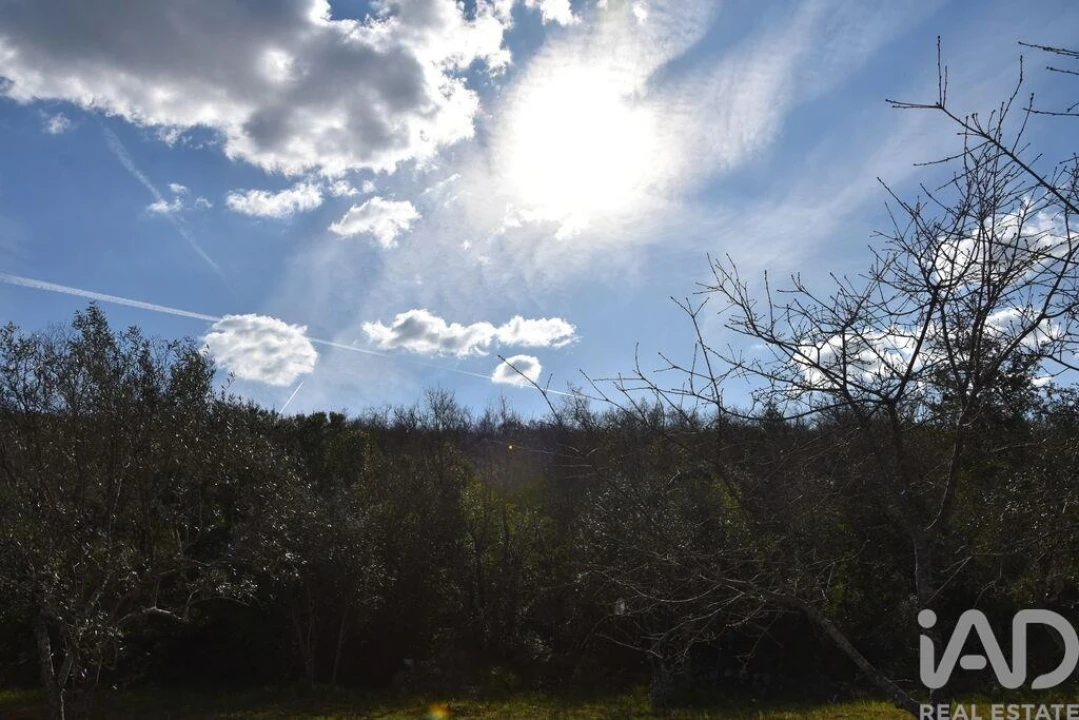 Terreno para Venda em Chãos Foto 4