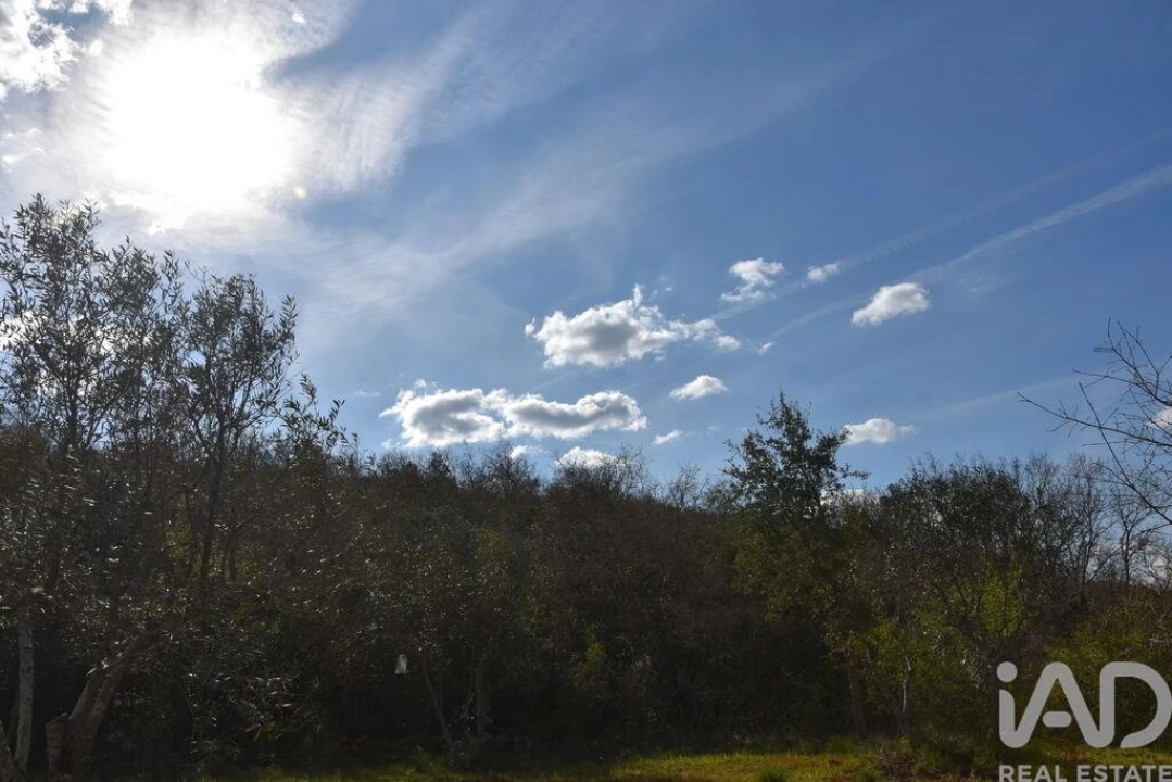 Terreno para Venda em Chãos Foto 5