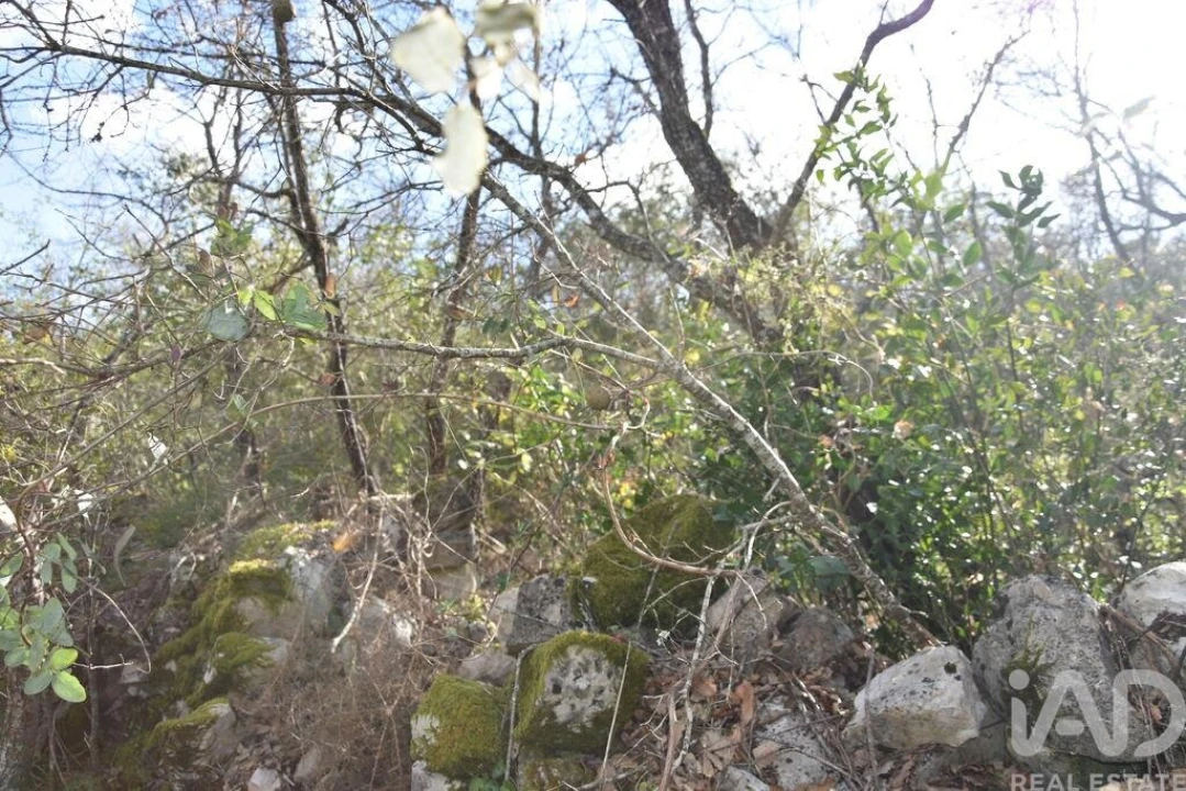 Terreno para Venda em Chãos Foto 14