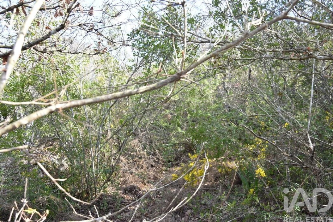 Terreno para Venda em Chãos Foto 19