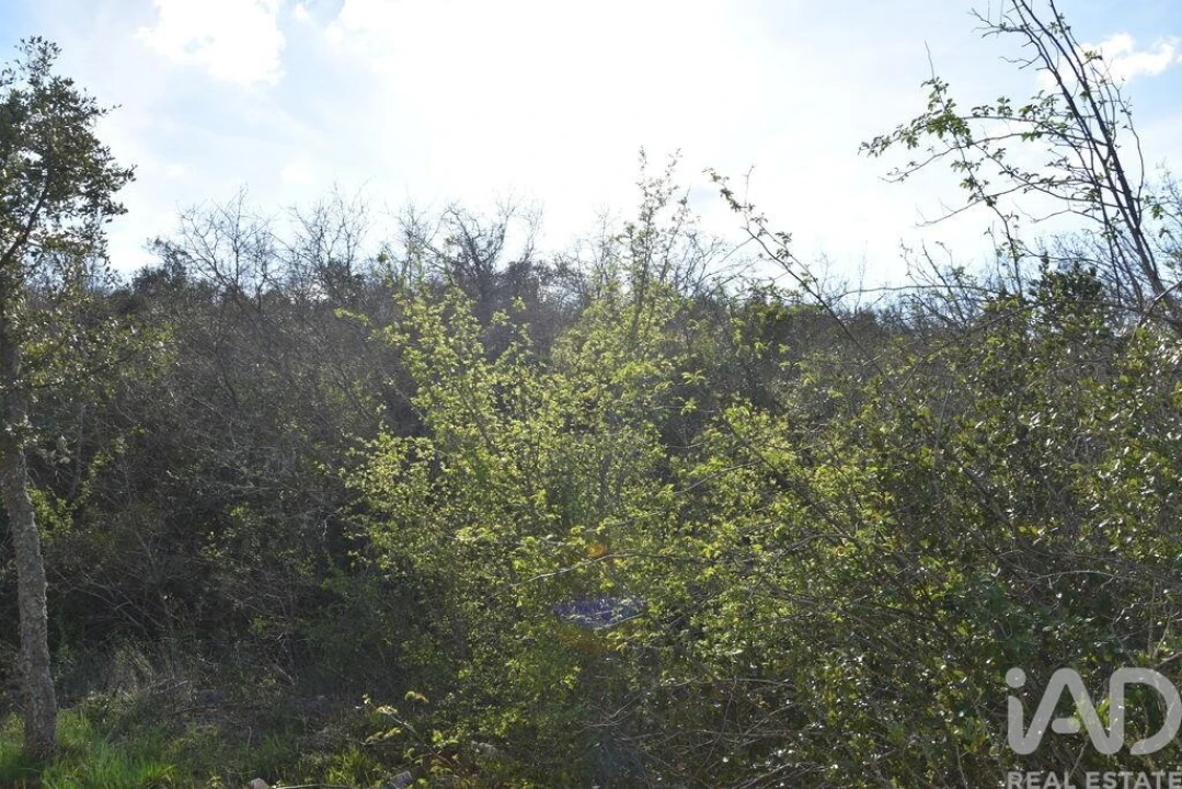 Terreno para Venda em Chãos Foto 26