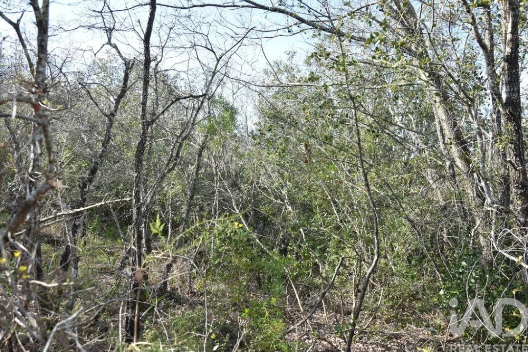 Terreno para Venda em Chãos Foto 20
