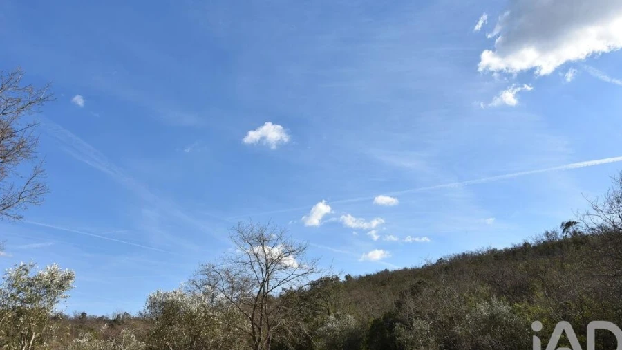 Terreno para Venda em Chãos