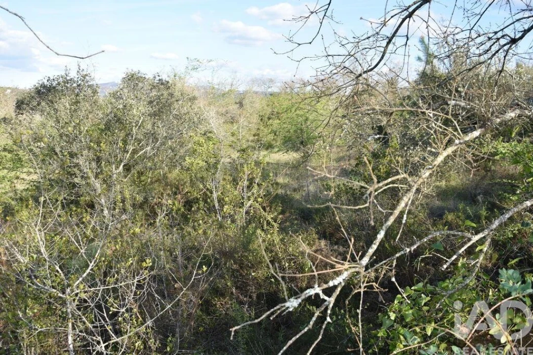 Terreno para Venda em Chãos Foto 31