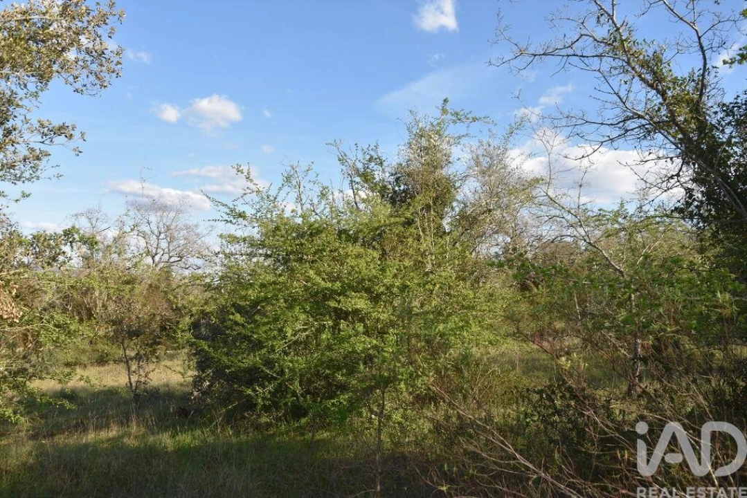 Terreno para Venda em Chãos Foto 11