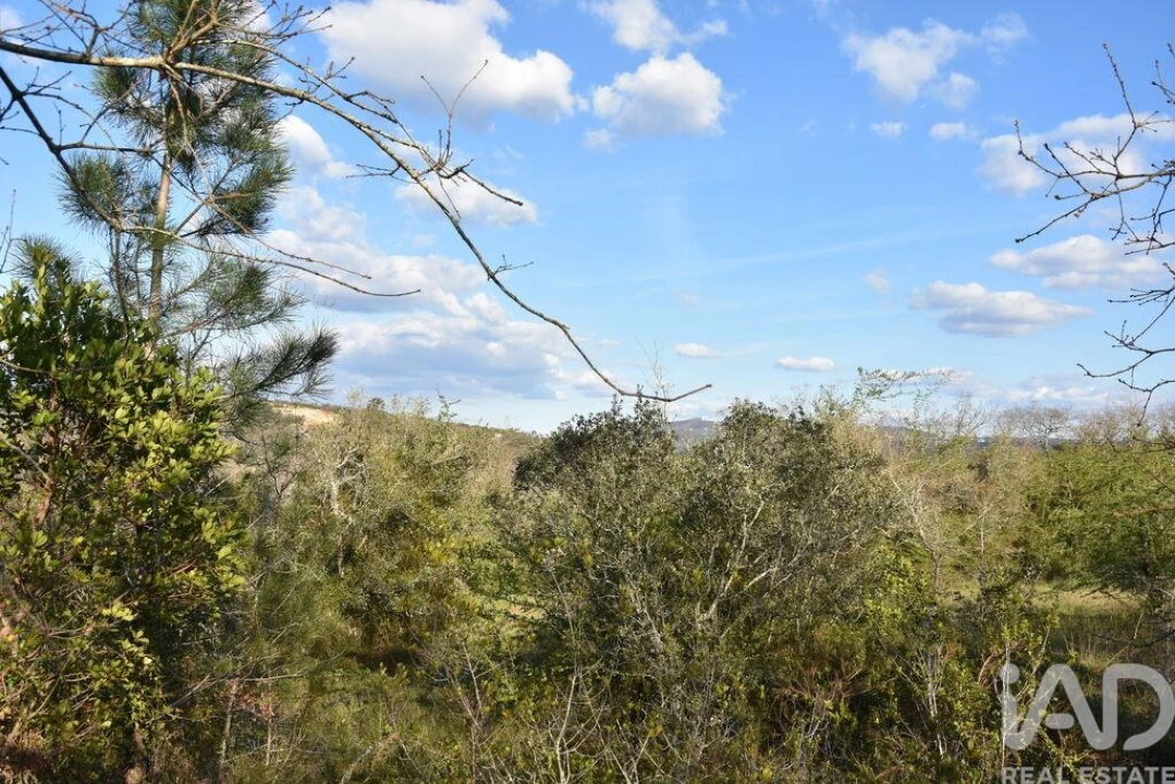 Terreno para Venda em Chãos Foto 33