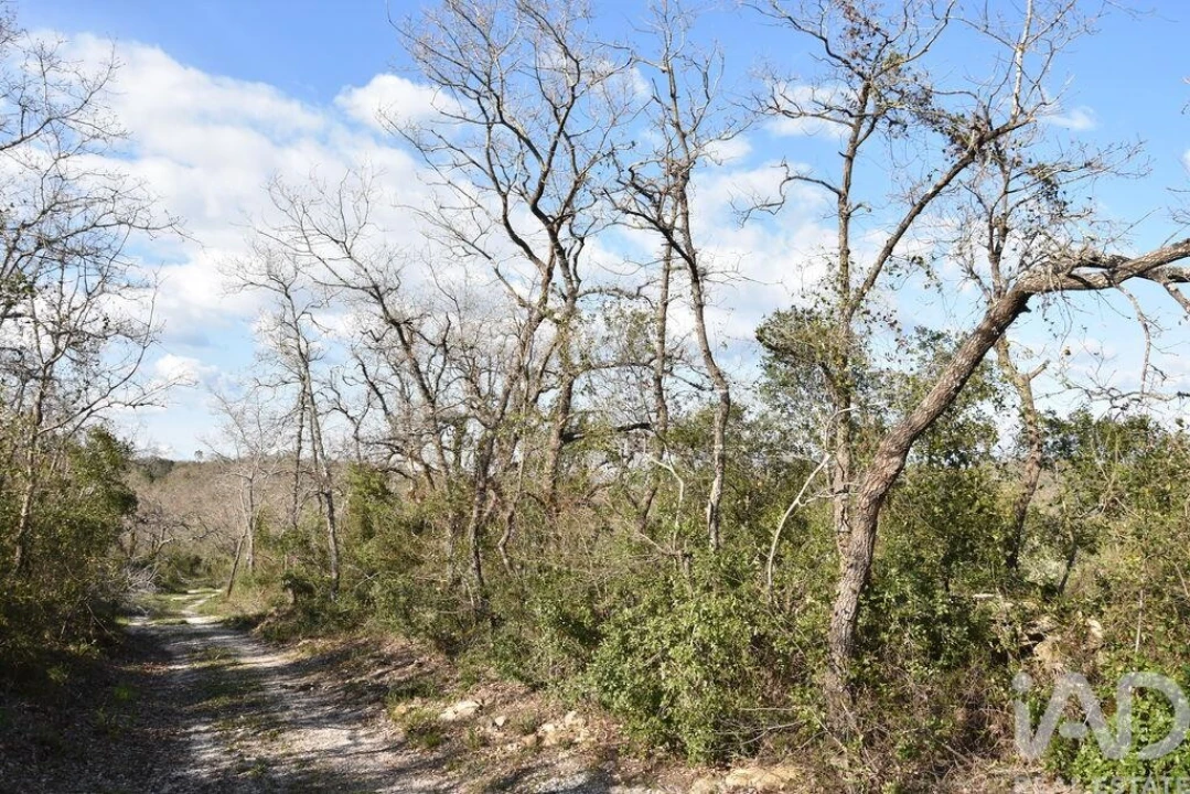 Terreno para Venda em Chãos Foto 12