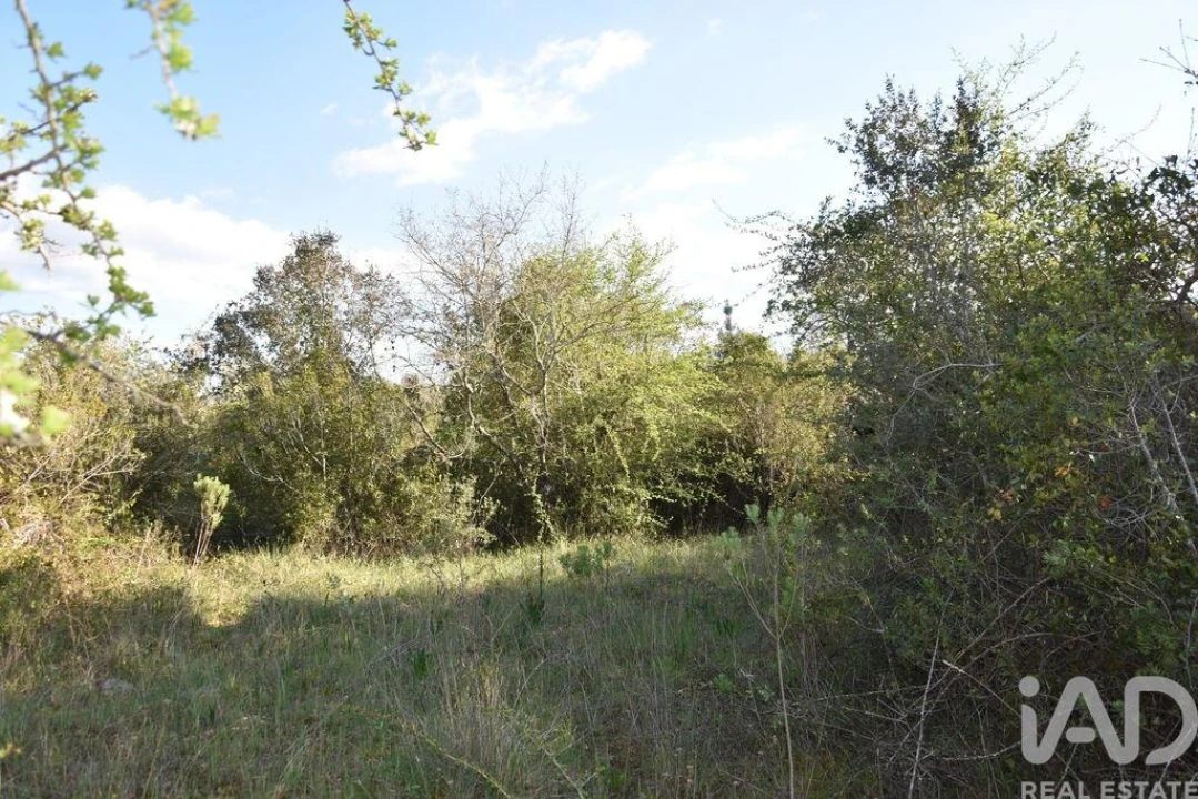 Terreno para Venda em Chãos Foto 6