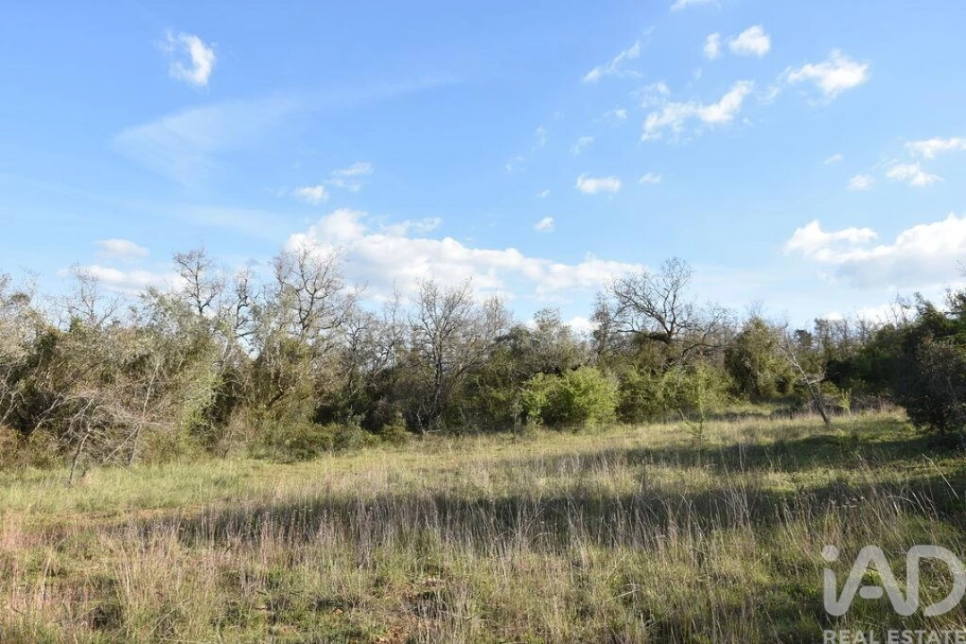 Terreno para Venda em Chãos Foto 3
