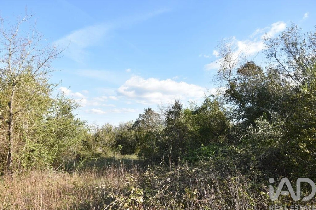 Terreno para Venda em Chãos Foto 10
