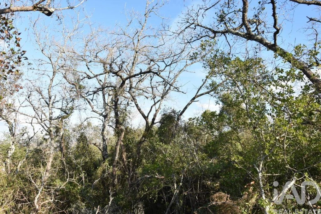 Terreno para Venda em Chãos Foto 21