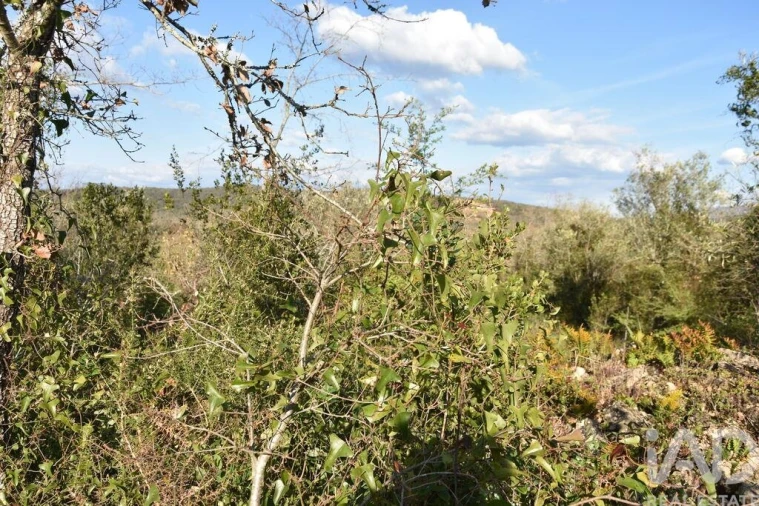 Terreno para Venda em Chãos Foto 24