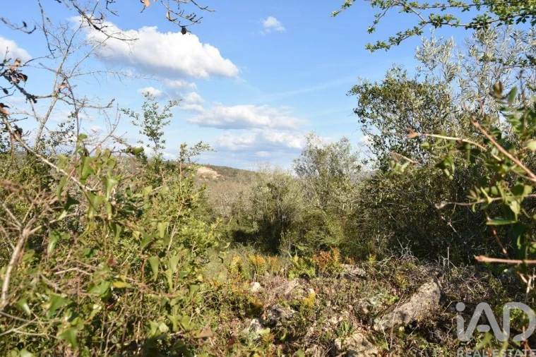 Terreno para Venda em Chãos Foto 23