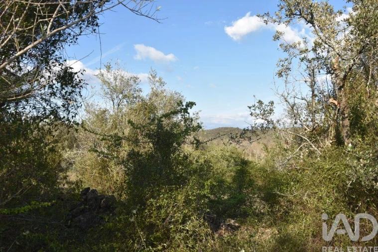 Terreno para Venda em Chãos Foto 35