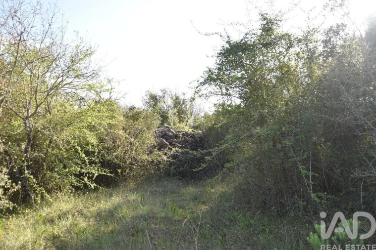 Terreno para Venda em Chãos Foto 4