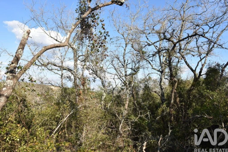 Terreno para Venda em Chãos Foto 20