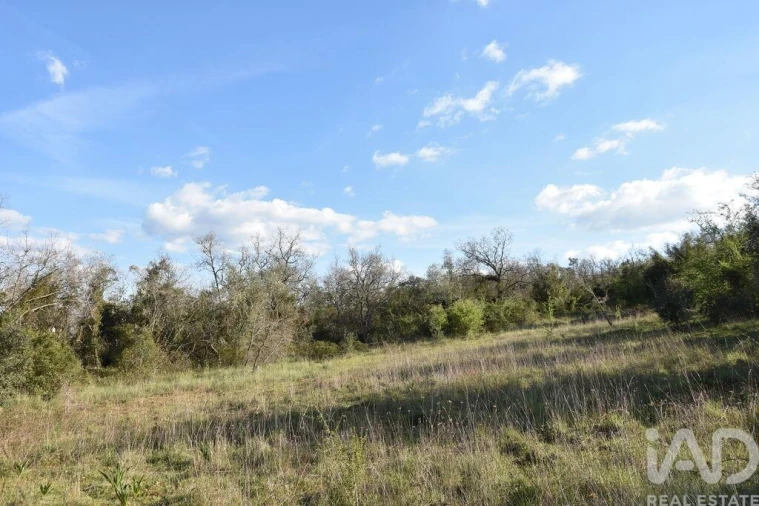 Terreno para Venda em Chãos Foto 15