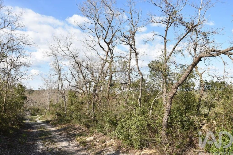 Terreno para Venda em Chãos Foto 12