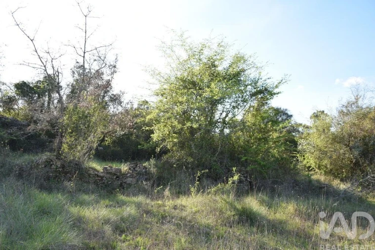 Terreno para Venda em Chãos Foto 9