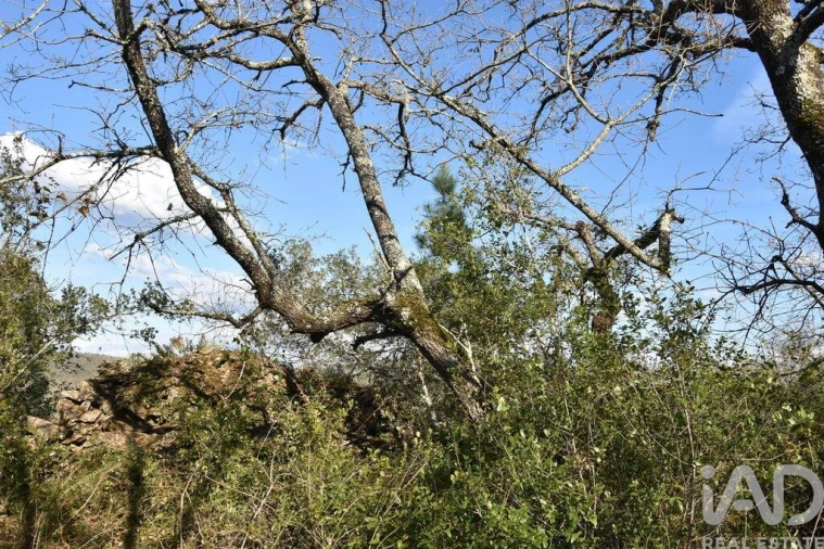 Terreno para Venda em Chãos Foto 28