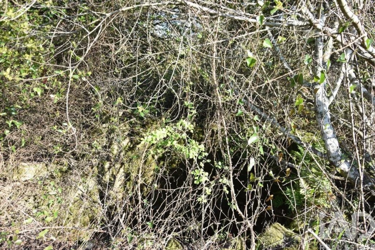 Terreno para Venda em Chãos Foto 30