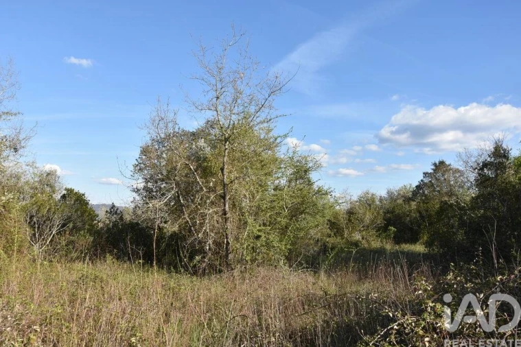 Terreno para Venda em Chãos Foto 8