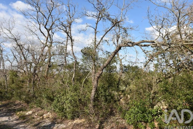 Terreno para Venda em Chãos Foto 13