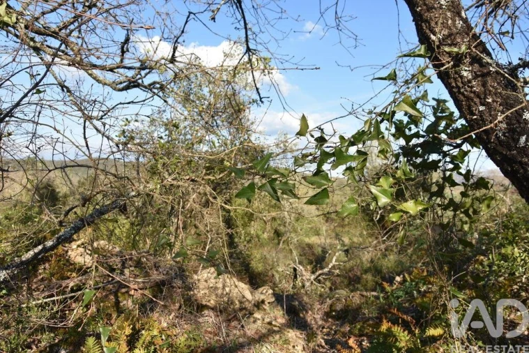 Terreno para Venda em Chãos Foto 26