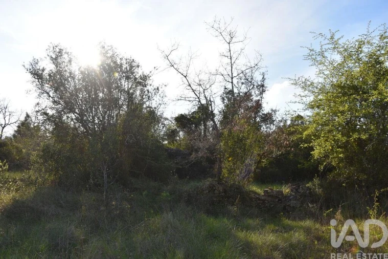 Terreno para Venda em Chãos Foto 18