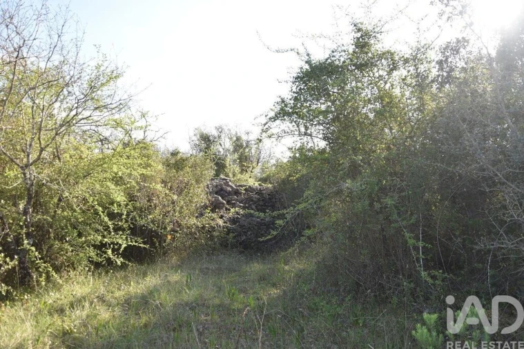 Terreno para Venda em Chãos Foto 17