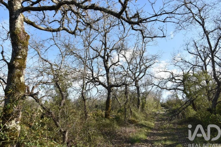 Terreno para Venda em Chãos Foto 27