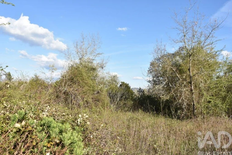 Terreno para Venda em Chãos Foto 7