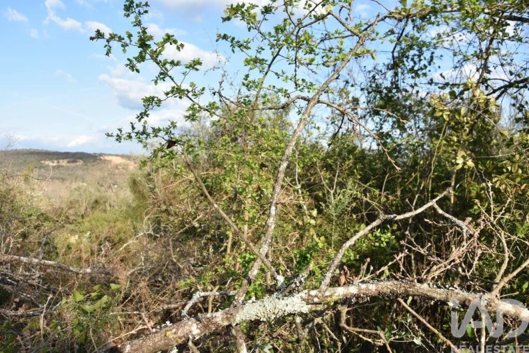 Terreno para Venda em Chãos Foto 32