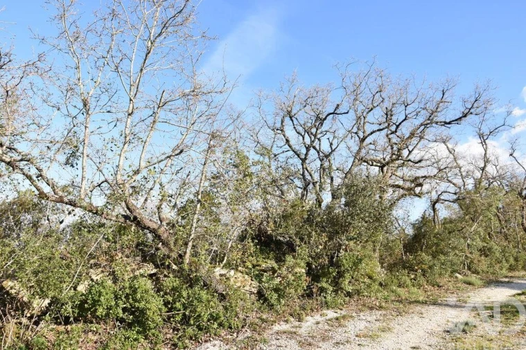 Terreno para Venda em Chãos Foto 19