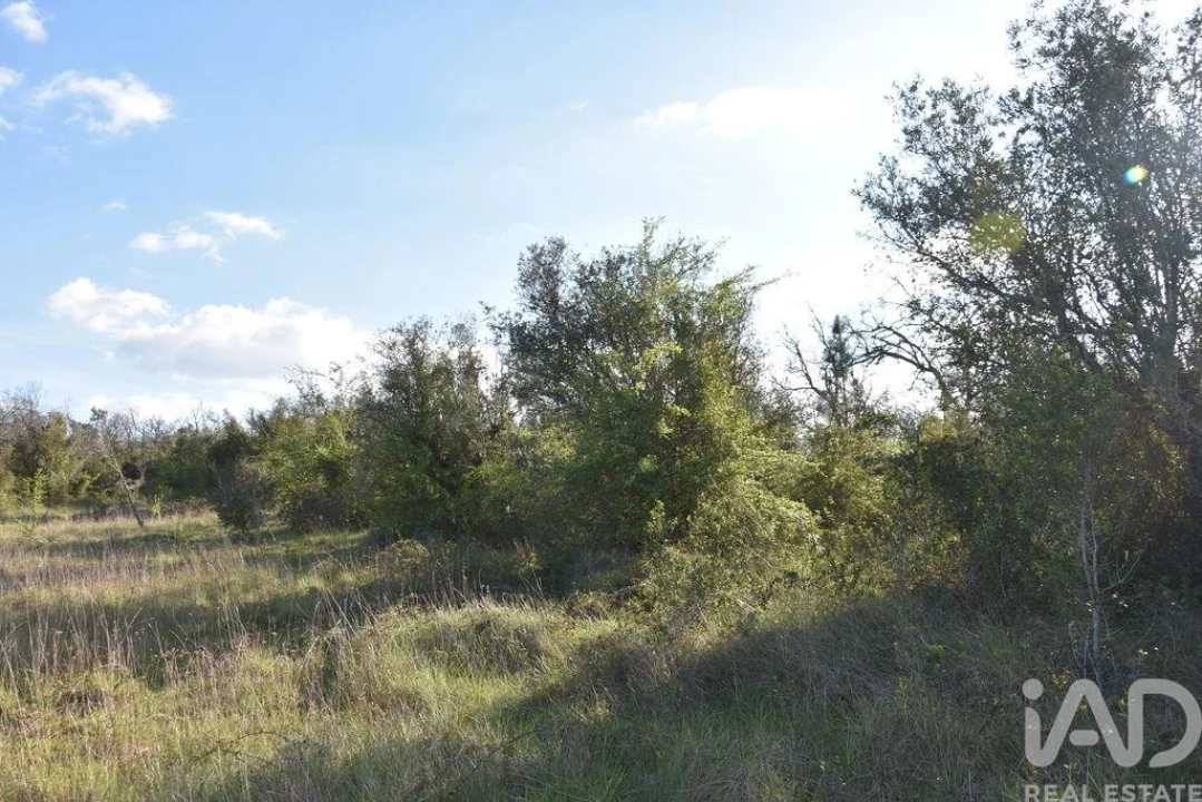 Terreno para Venda em Chãos Foto 14