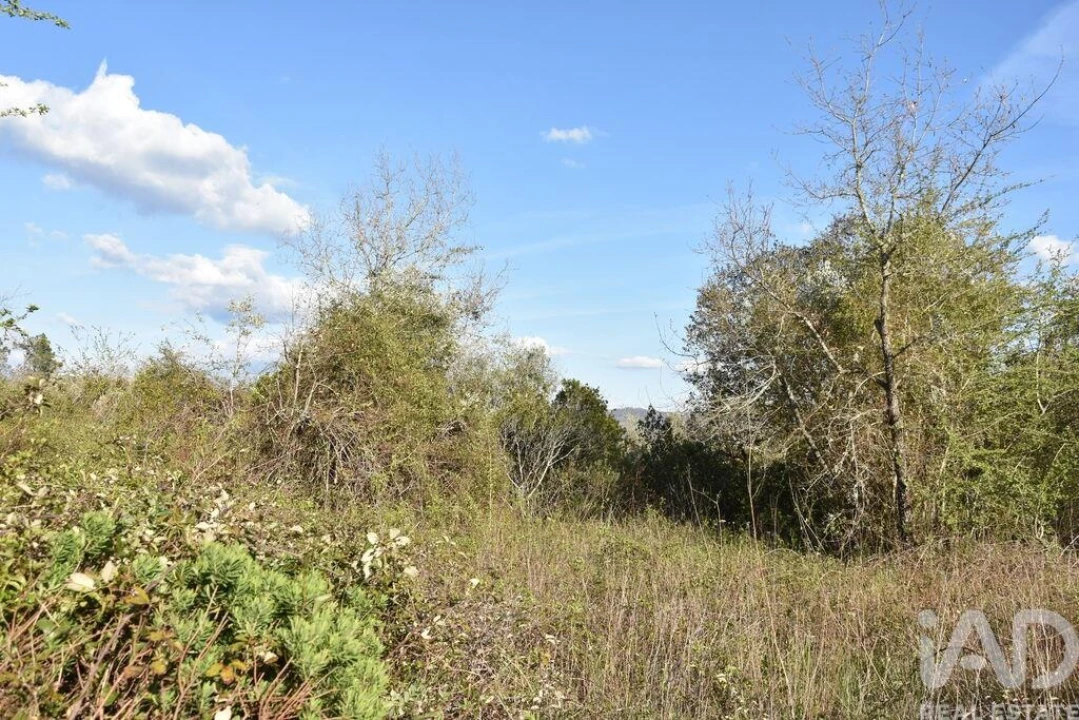 Terreno para Venda em Chãos Foto 7