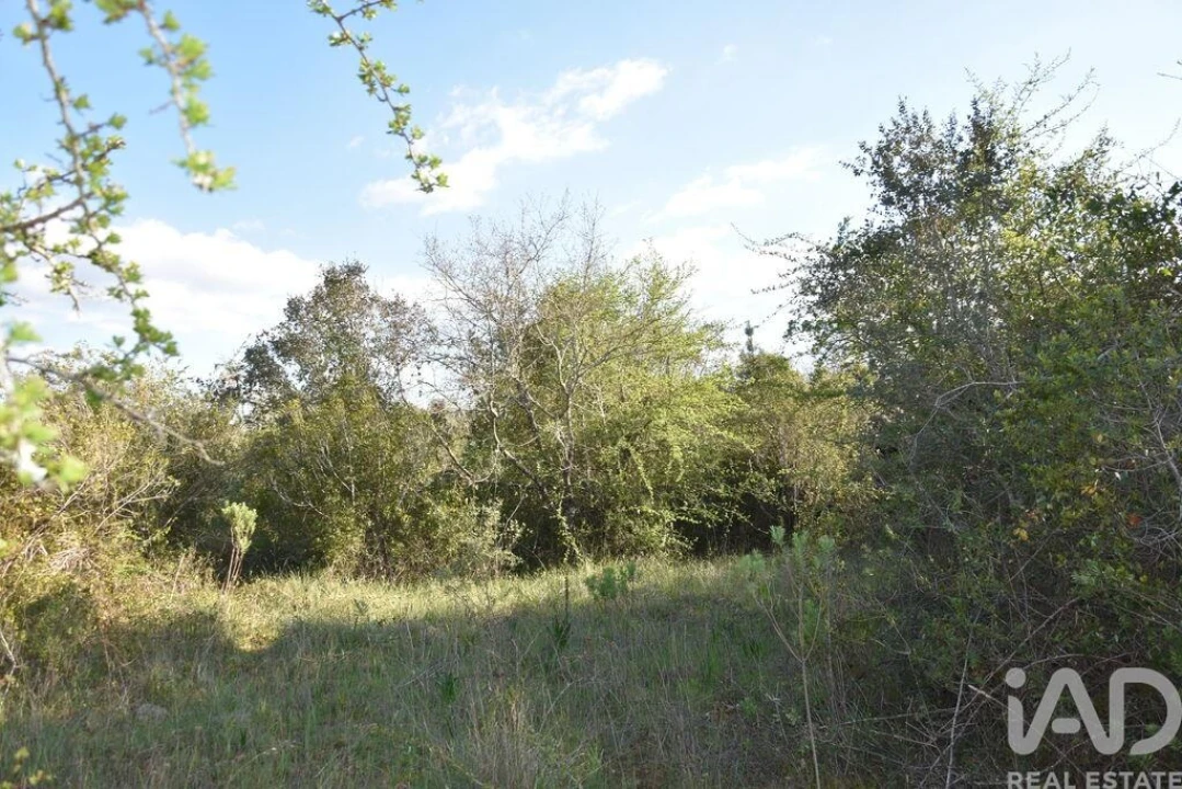 Terreno para Venda em Chãos Foto 5