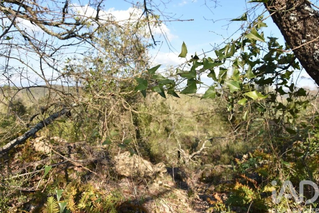 Terreno para Venda em Chãos Foto 25