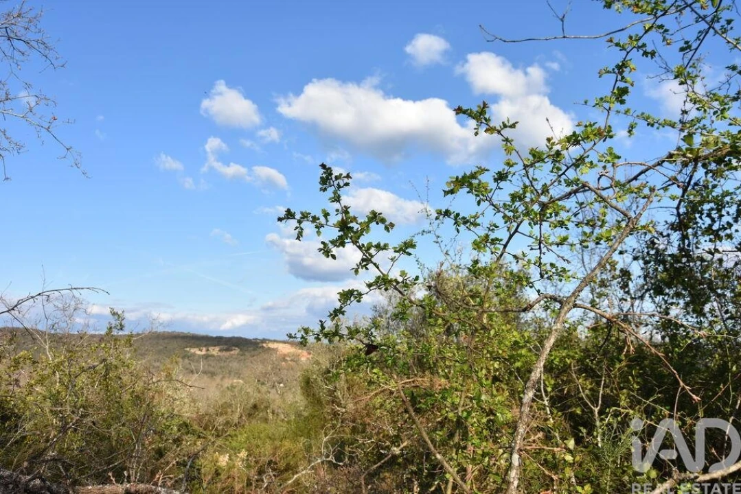 Terreno para Venda em Chãos Foto 34